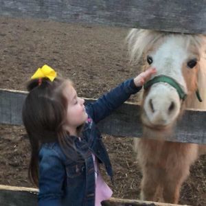 Meet your Posher, Lynn